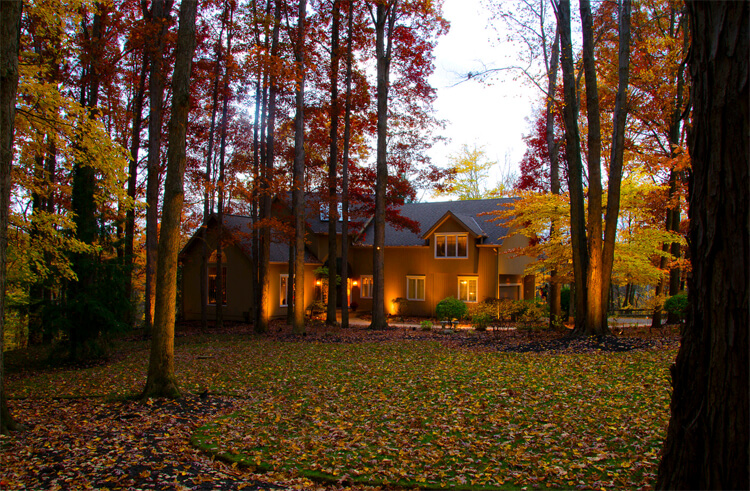 Beautiful home surrounded by tall trees 